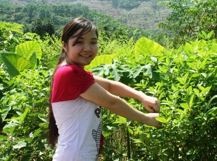  Cô học trò nghèo Lê Thị Thoa với niềm vui đỗ thủ khoa